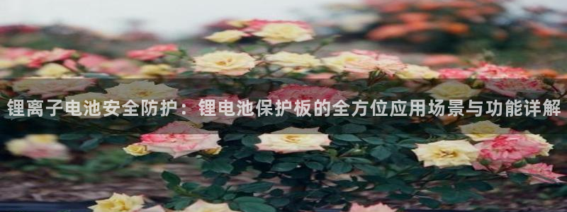 okpay钱包手机版最新版