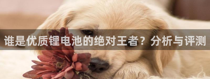 okpay钱包下载