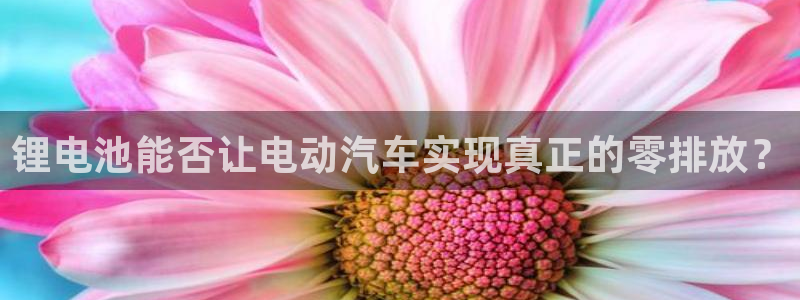 钱包okpay