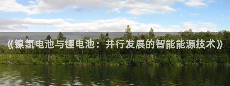 okpay钱包gopay哪个好