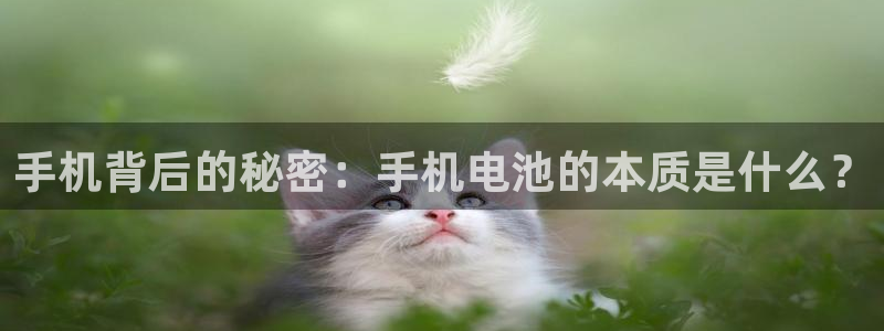 okpay钱包下载