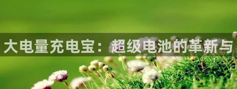 okpay钱包实名认证有风险吗
