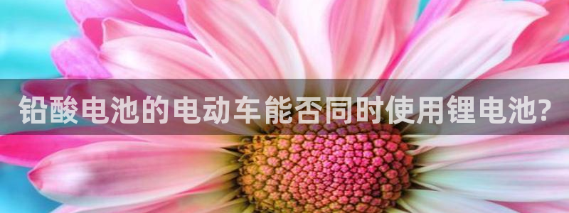 okpay钱包官网下载