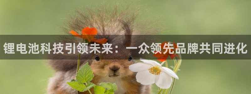 什么是okpay钱包