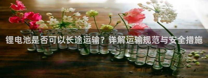 gopay及okpay钱包