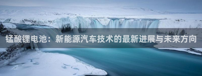okpay钱包是那个公司