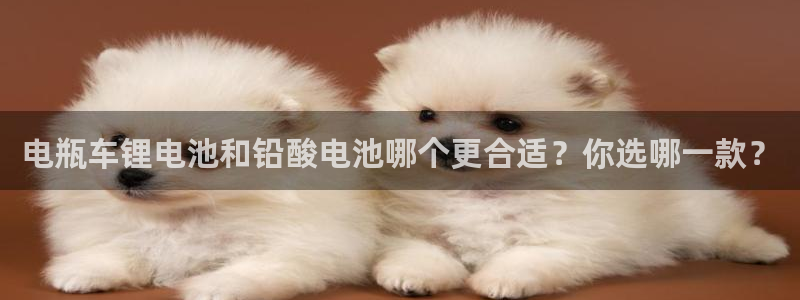 okpay777钱包