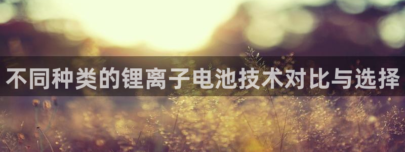 okpay钱包官网入口