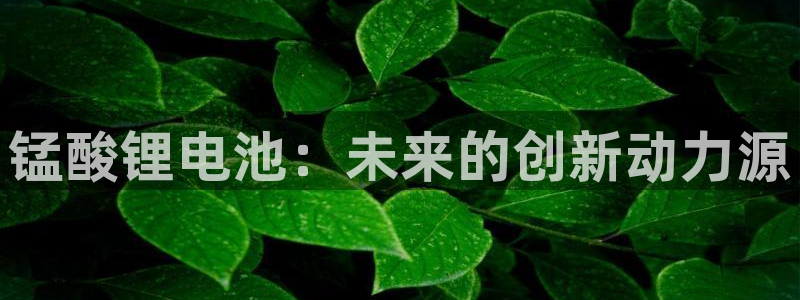 okpay钱包怎么下载不了