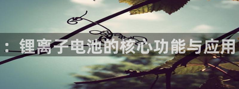 okpay支付钱包官网