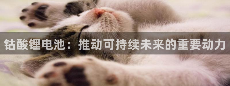 okpay钱包买币全过程