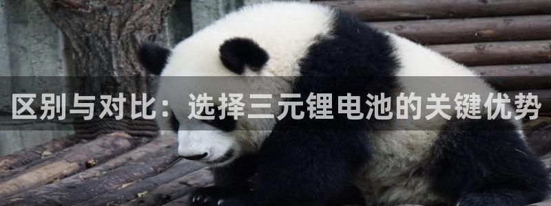 okpay钱包充值