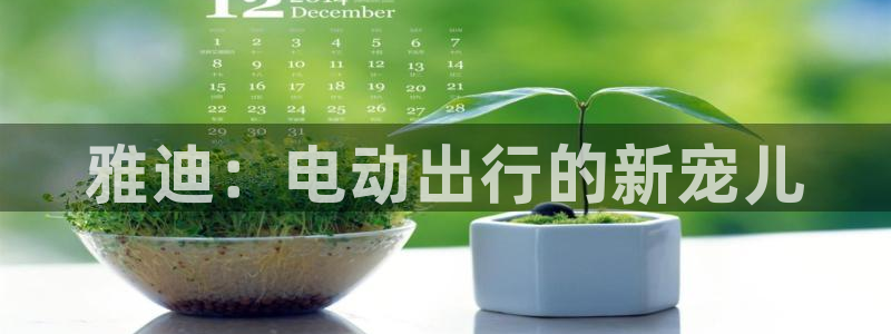 okpay钱包官网版2023