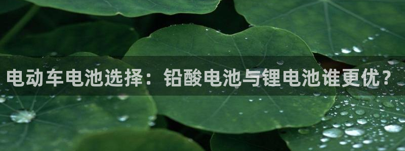 钱包okpay