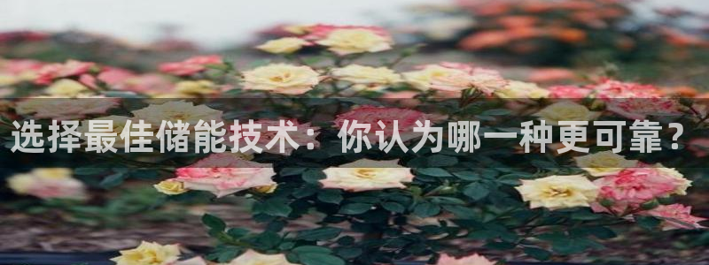 okpay钱包充值
