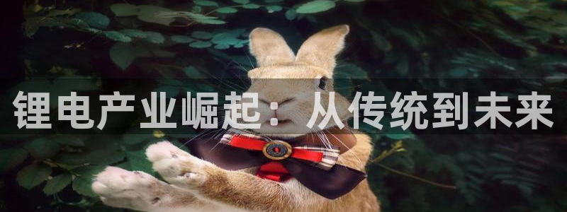 okpay支付钱包下载最新