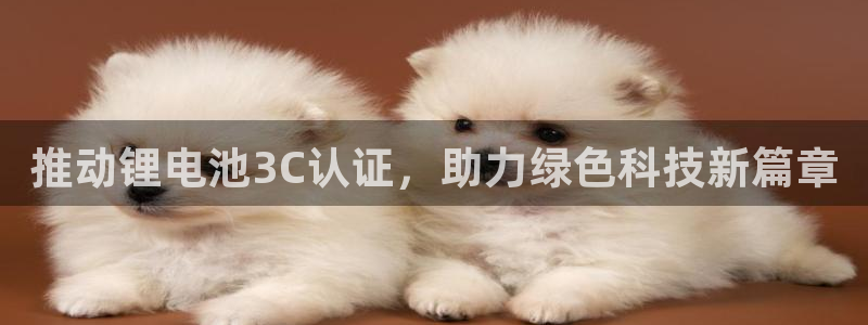 okpay支付钱包下载最新
