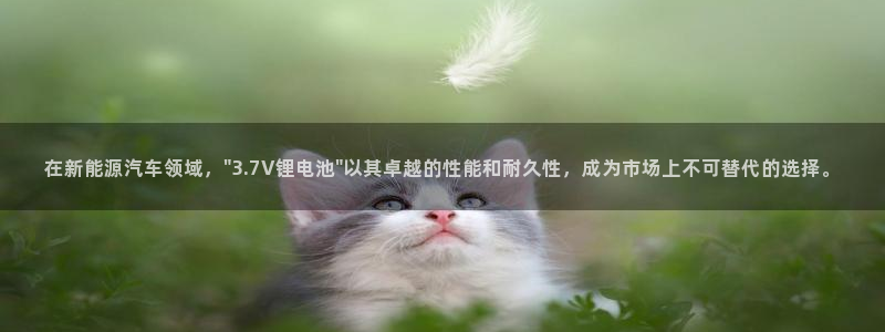 okpay钱包网页版