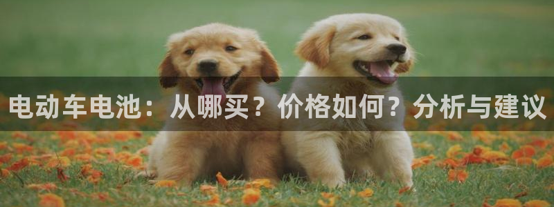 okpay钱包官网版