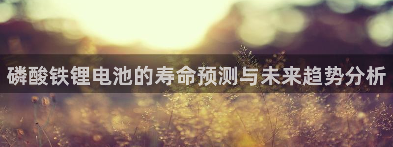 网赌虚拟币okpay钱包