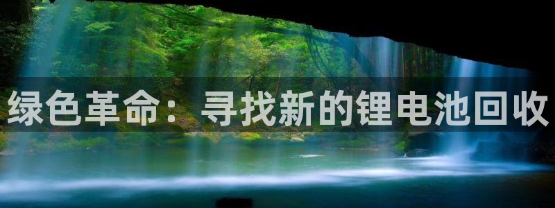 gopay及okpay钱包