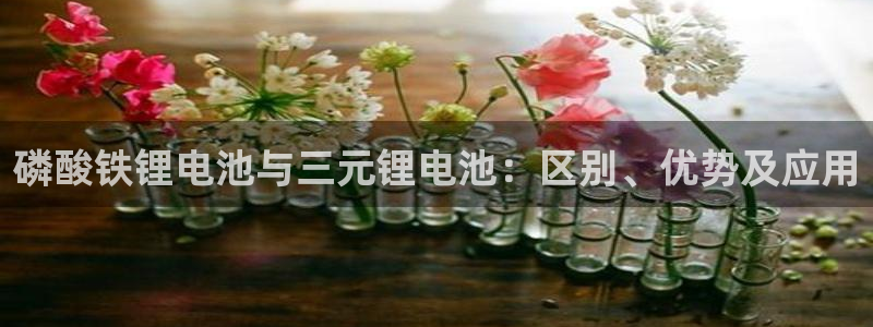okpay钱包会被查吗